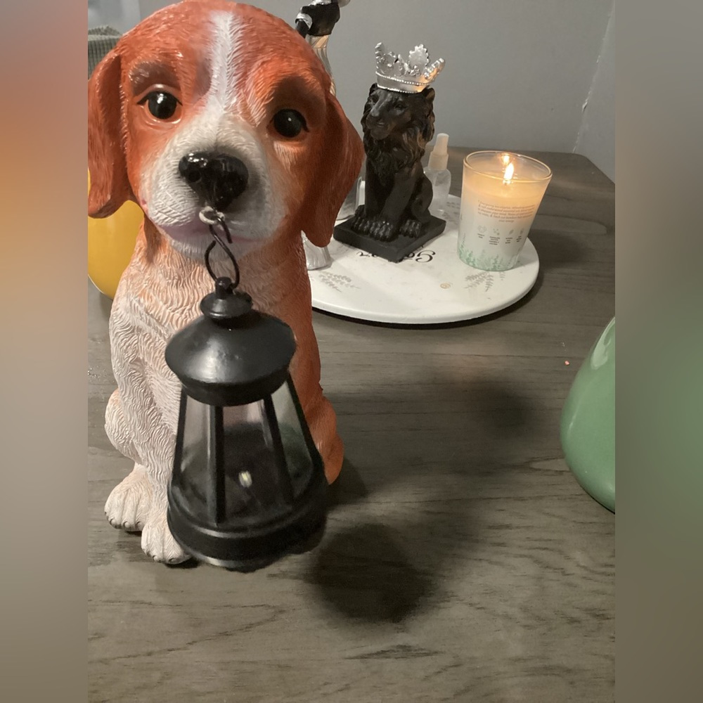 Dog With Solar Lantern - Picture 1 of 4